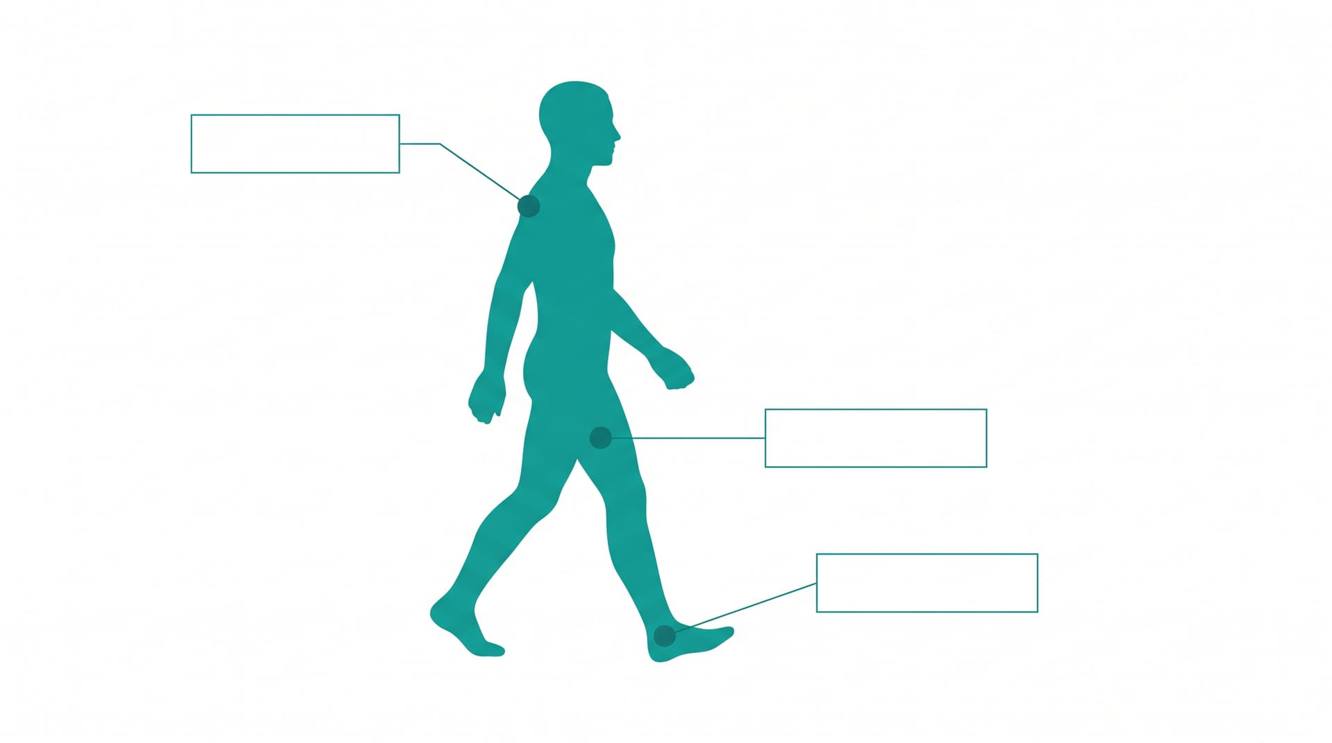Diagram showing three load positions on the body: upper back, thigh and foot